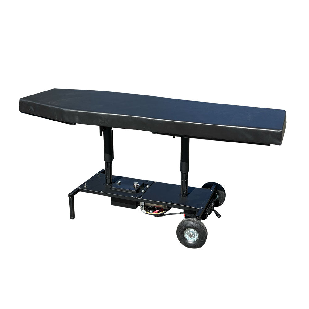 Electric Hydraulic Lift Massage Table – 2-Section, 24" Wide, 500 lb Capacity