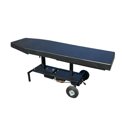 Electric Hydraulic Lift Massage Table – 2-Section, 24" Wide, 500 lb Capacity